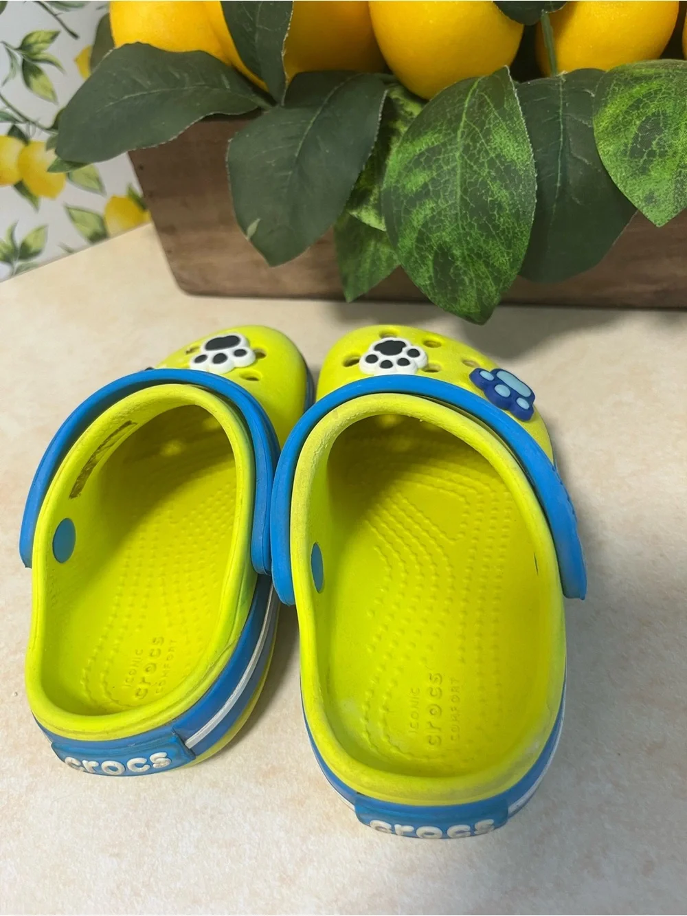 CROCS Kids Neon Yellow Clogs with Blue Strap and Paw Charms Size C5